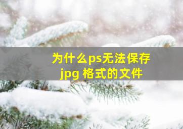 为什么ps无法保存jpg 格式的文件